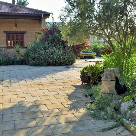 פמגוסטה Golden Palms Guest House & Cafe מראה חיצוני תמונה