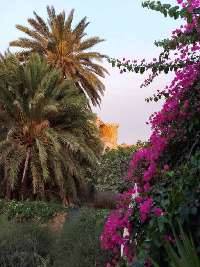 פמגוסטה Golden Palms Guest House & Cafe מראה חיצוני תמונה