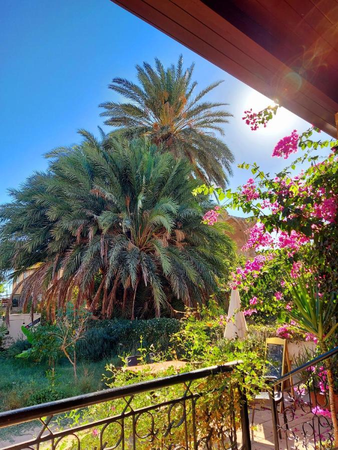 פמגוסטה Golden Palms Guest House & Cafe מראה חיצוני תמונה