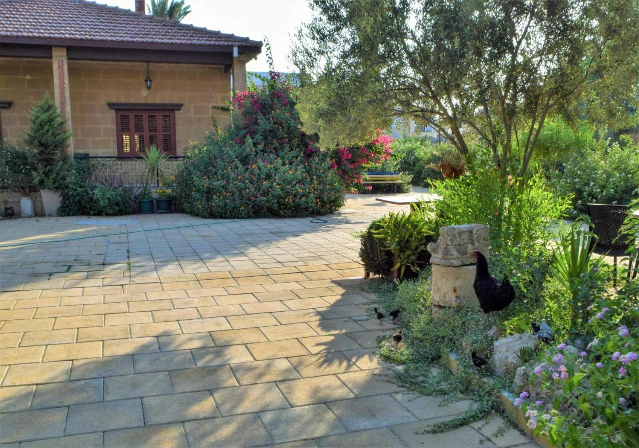 פמגוסטה Golden Palms Guest House & Cafe מראה חיצוני תמונה